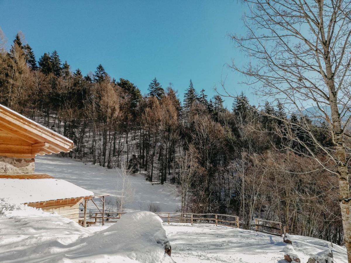 Odomi Maso Nel Bosco Villa Sant'Orsola Eksteriør bilde